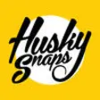 Icon of program: HuskySnaps by Michigan Te…