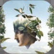 Icon of program: Arcadia Earth AR