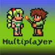 Icon of program: Multiplayer Terraria edit…