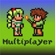 Icon of program: Multiplayer Terraria edit…