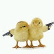 Icon of program: Funny Pictures & Images -…