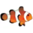 Icon of program: Clownfish for Skype
