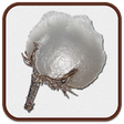 Icon of program: Cotton Ginning Calculator