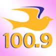 Icon of program: Praise 100.9 - Charlotte