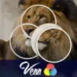 Icon of program: Venn Lions: Overlapping J…