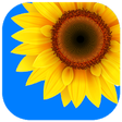 Icon of program: Gallery