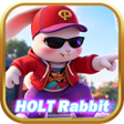 Icon of program: HOLT Rabbit