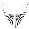 Icon of program: Agent Saint
