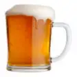 Icon of program: Beerulator