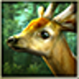 Icon of program: Forest HD