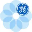 Icon of program: GE Investor