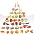Icon of program: Food Exchange List