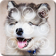 Icono de programa: Cute Hasky Puppies Screen…