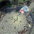 Icon of program: Dungeon Siege II v2.2 pat…