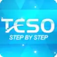 Icon of program: Teso