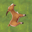 Icono de programa: Scavenger Fly