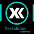 Icon of program: flexMediaV2