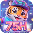 Icon of program: 75HPivot