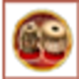 Icon of program: Classical Tabla