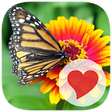Icono de programa: 630 Pics