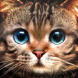 Icon of program: Kitty Cat Live Wallpaper