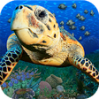 Icono de programa: Popar Sea Life