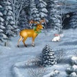 Icon of program: Christmas Delight Screens…