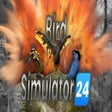 Icon of program: Bird Simulator 24