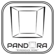 Icon of program: Pandora Furniture Staging…