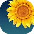 Icono de programa: Gallery