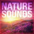 Icon of program: Nature Sounds-Relax and S…