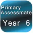 Icon of program: Year 6 Primary Assessmate