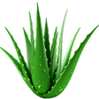 Icono de programa: Aloe Vera Benefits