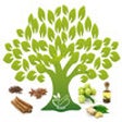 Icon of program: Ref Guide for Medicinal P…