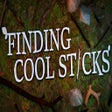 Icon of program: Finding Cool Sticks