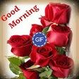 Icono de programa: Good Morning GIF