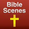 Icon of program: 45 Bible Scenes with Bibl…