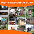 Icono de programa: How To Build A Chicken Co…