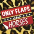 Icon of program: Only Flaps And Horses