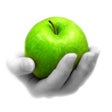 Icon of program: Color Splash