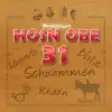 Icon of program: Hosn Obe - 31