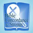 Icon of program: Bible Concordance and Str…