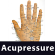 Icono de programa: Learn Acupressure Points …