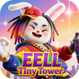 Icon of program: EELLTinyTower