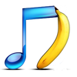 Icon of program: SongKong