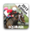 Icono del programa: 2013 Equibase Racing Year…