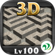 Icon of program: 3D Maze Level 100