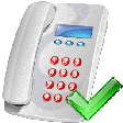 Icono de programa: Validate Multiple US Phon…