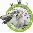 Icono de programa: Tessa Timer