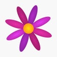 Icono de programa: Menstrual Period Tracker …